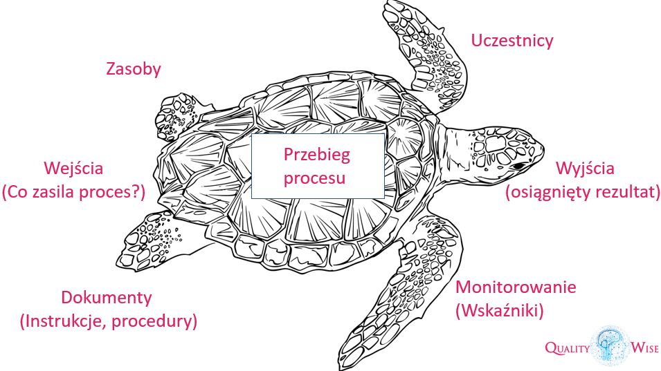 diagram żółwia do opisu procesu