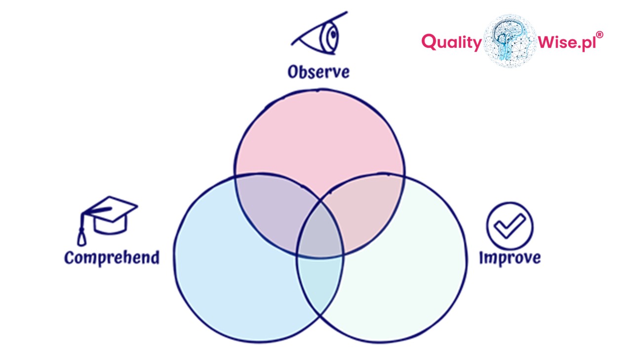 Gemba walk, Qualitywise.pl