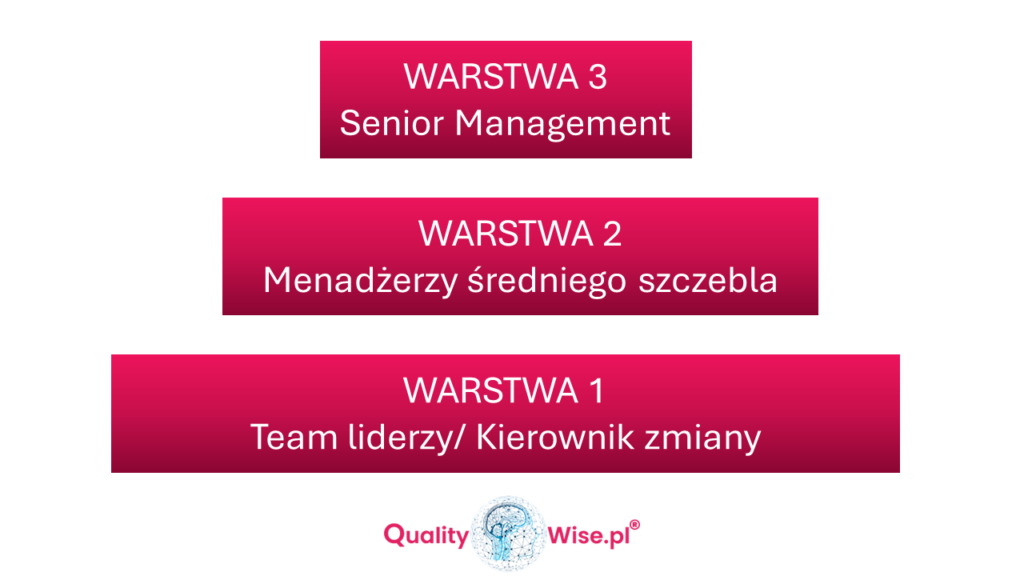 Audyt warstwowy procesów (LPA) i jego warstwy, Qualitywise.pl