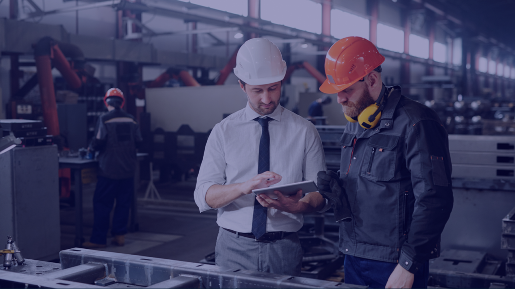 Qualitywise.pl audyty