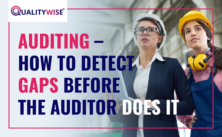 Audit Readiness: How to Identify Gaps Before the Auditor Does Qualitywise.pl