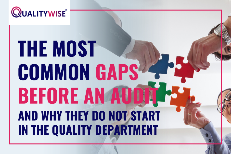 Customer Audit: 7 Gaps Beyond the Quality Department, Qualitywise.pl